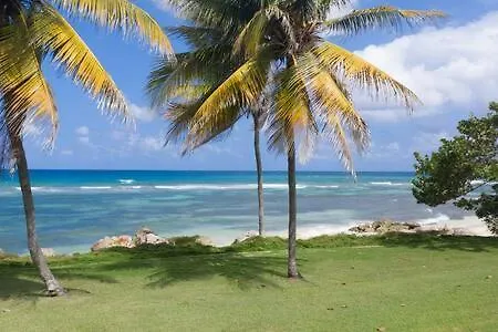 Ultra Modern 2br Penthouse, Sleeps 5, Beach Front, Pool, Roof Patio, Montego Bay