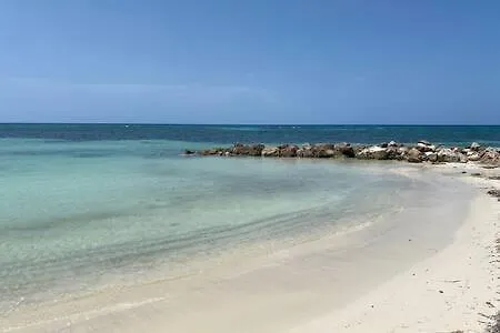 Ultra Modern 2br Penthouse, Sleeps 5, Beach Front, Pool, Roof Patio,
